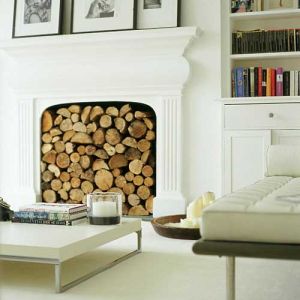 Images of fireplaces - Modern fireplace design - fire-logs.jpg